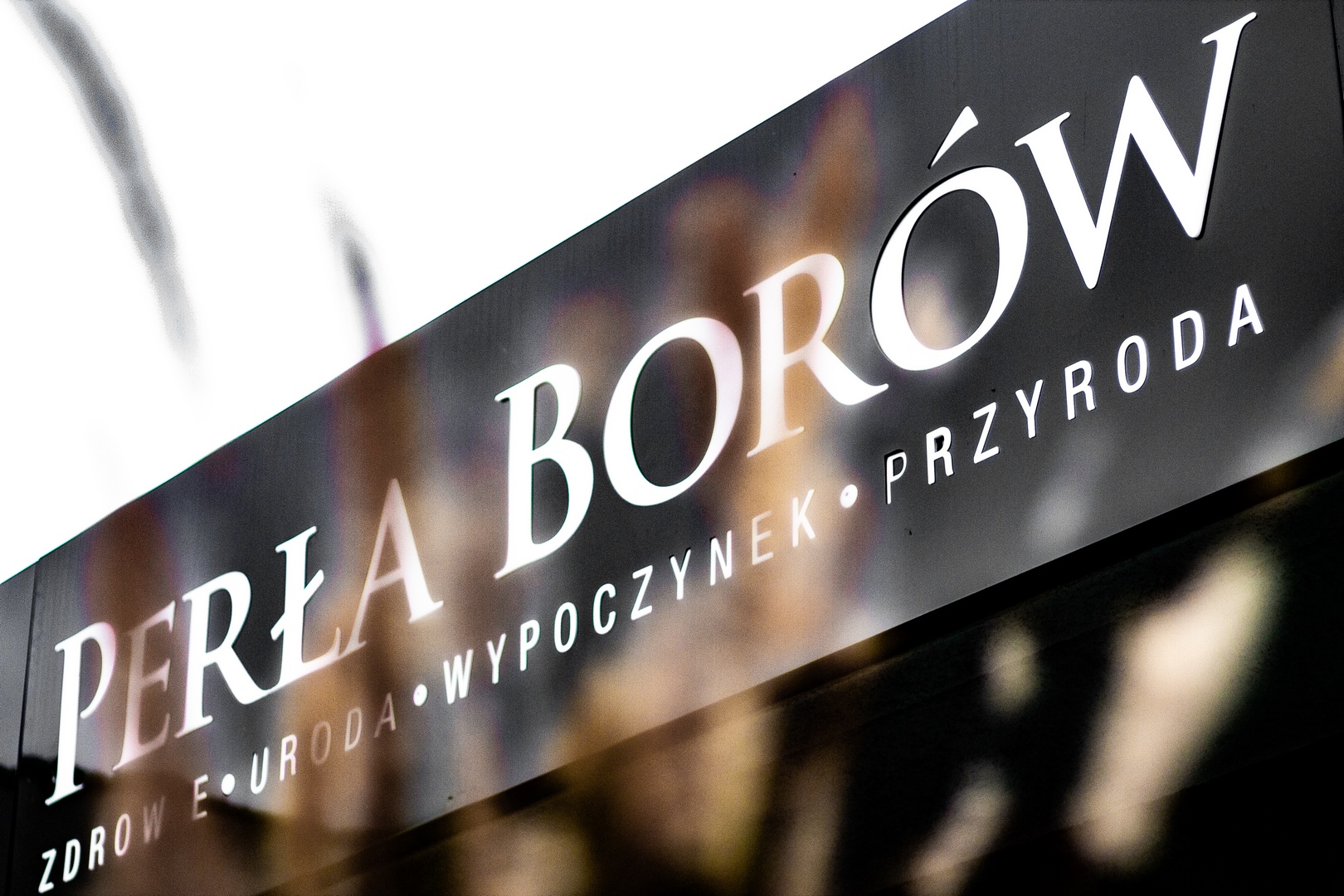 Zapraszamy do składania rezerwacji